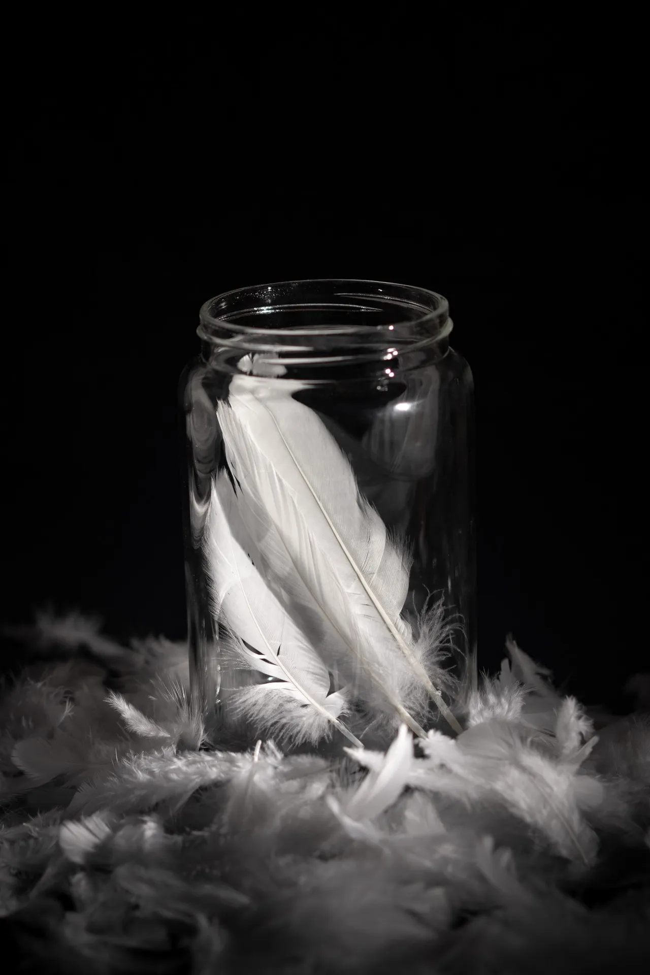 Jim Ramadei, The Rutherford's board president, noted that Ms. Lesser arrived at her deposition with a jar of parrot feathers which she claimed had a soothing presence for her.